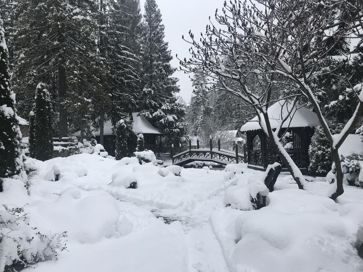 Smerekova Hata Hotel Slavske